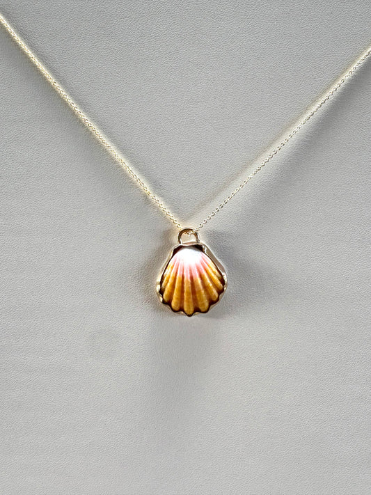 Sunrise Shell 14K Gold Filled Necklace