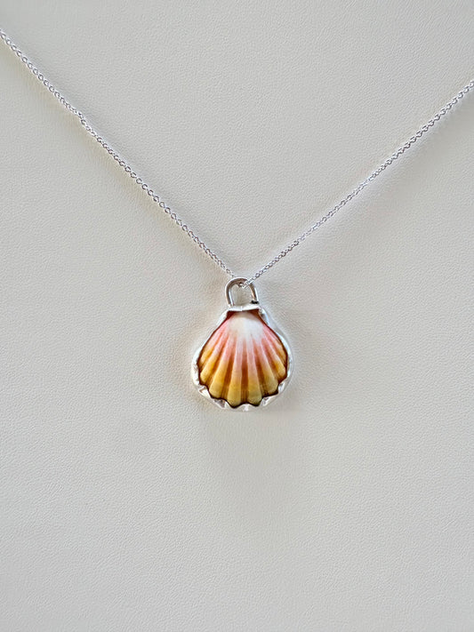 Sunrise Shell Sterling Silver Necklace