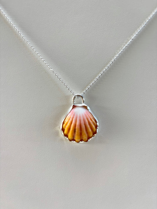 Sunrise Shell Sterling Silver Necklace
