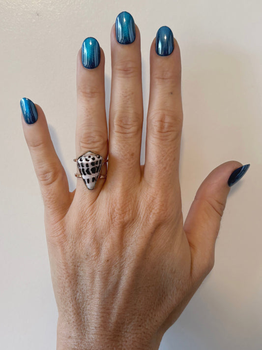 Hebrew Shell Double Band Size 6.5