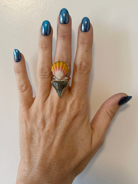 Sunrise + Shark Tooth Size 7.25