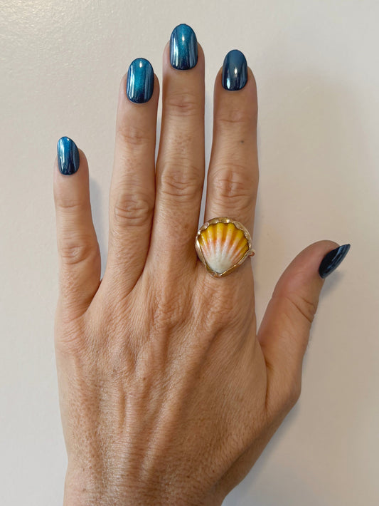 Sunrise Shell Size 9.5