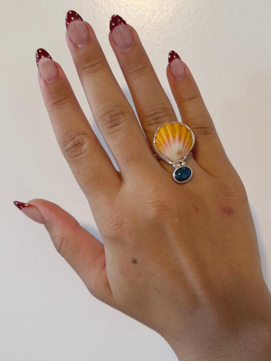 Sunrise Shell + Midnight Opal